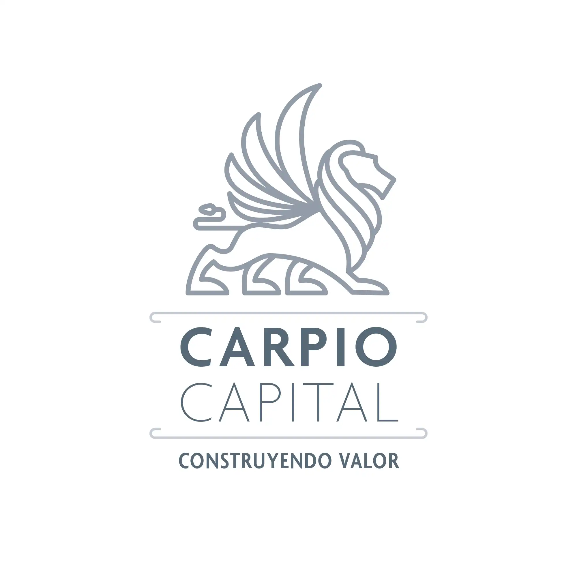 Branding y packaging para empresa de inversiones