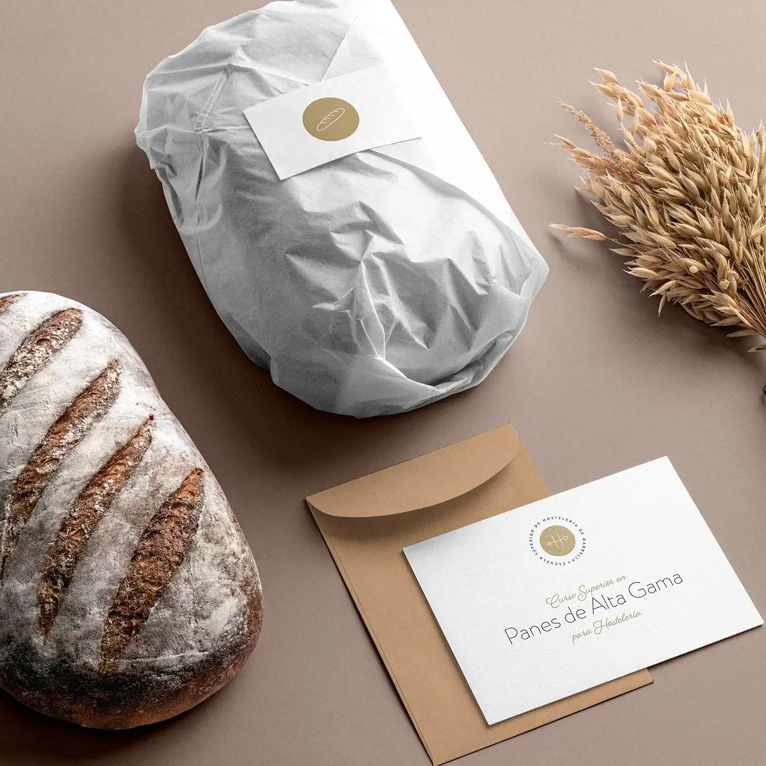 Diseño de logotipo y branding corporativo Escuela Superior