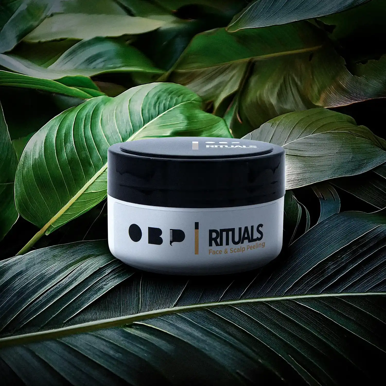 Diseño de Packaging Málaga.